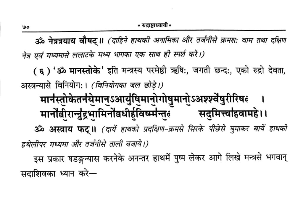 विनियोग तथा षडङ्गन्यास Viniyoga and Shadanga Nyasa Lyrics