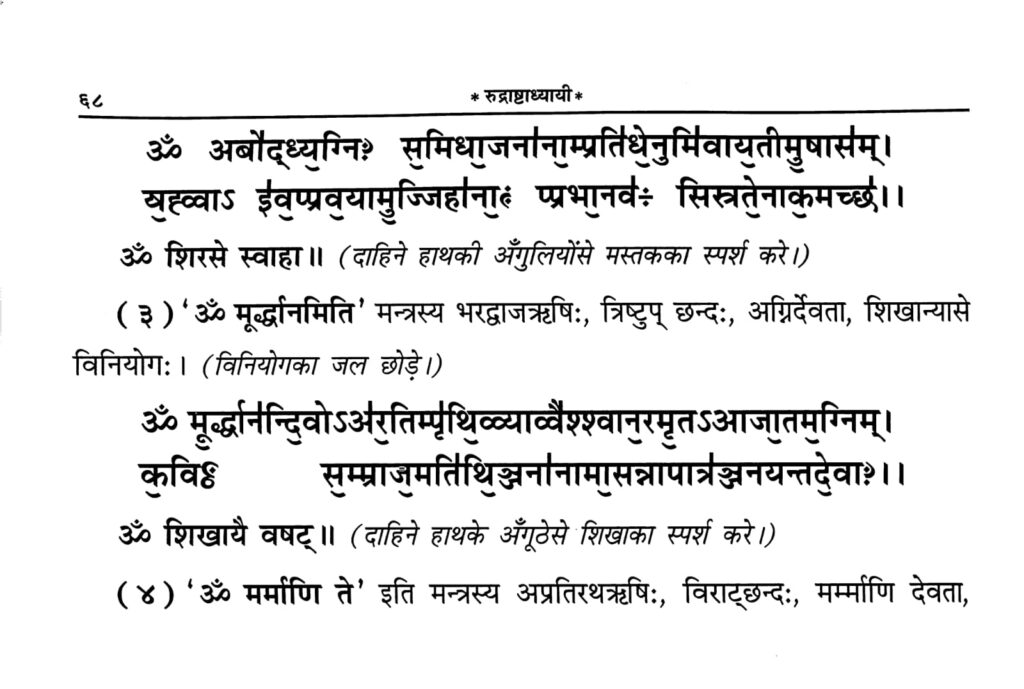 विनियोग तथा षडङ्गन्यास Viniyoga and Shadanga Nyasa Lyrics