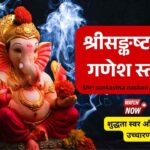 श्रीसङ्कष्टनाशनगणेशस्तोत्रम् Shri sankashta nashan ganesh stotram