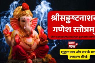 श्रीसङ्कष्टनाशनगणेशस्तोत्रम् Shri sankashta nashan ganesh stotram